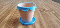Plain Saucer