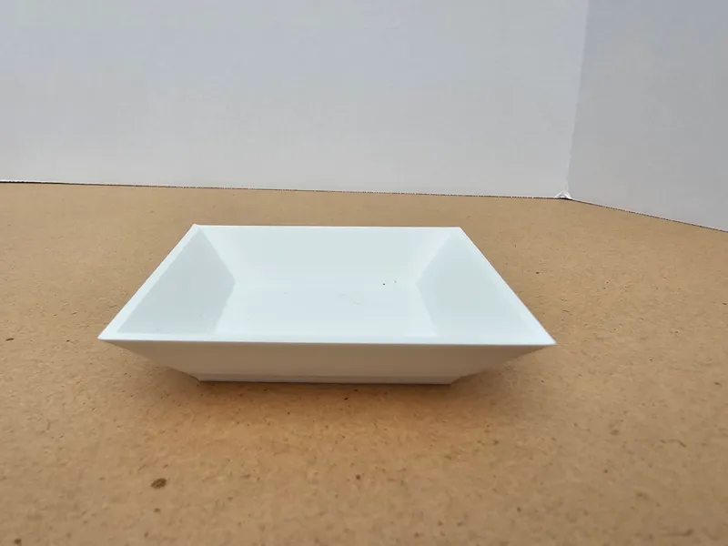 Sorting Tray