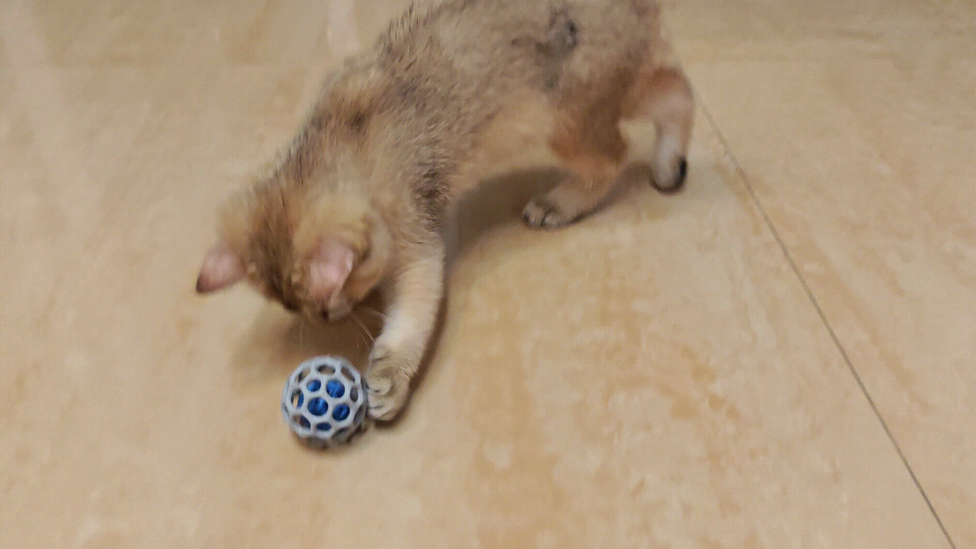 猫玩具-0#猫工球（柠总认证 解压玩具）