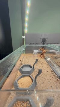 0.2mm layer, 3 walls, 15% infill