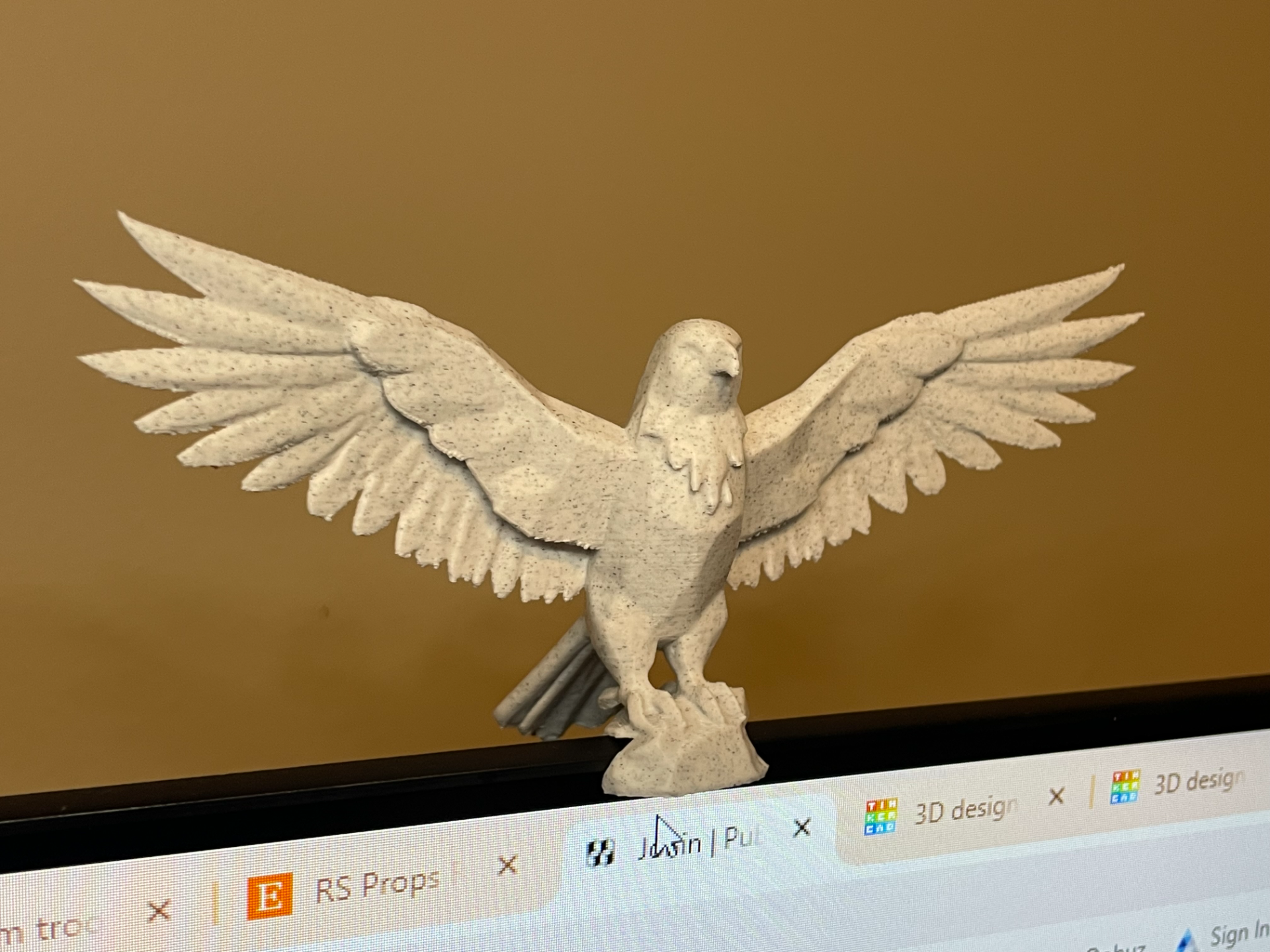 Majestic Bald Eagle Monitor Buddy