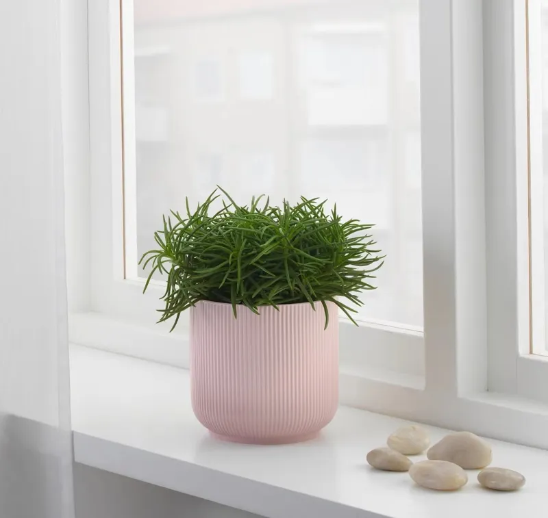 IKEA GRADVIS FLOWERPOT 宜家花盆