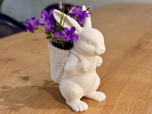 https://makerworld.bblmw.com/makerworld/model/US42eb08798b7e67/design/4f312484e7e240e9.png
