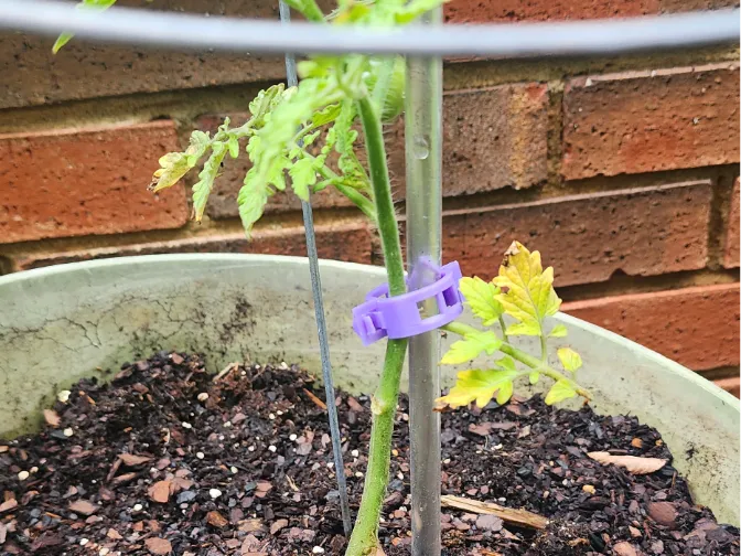Plant Clips V2