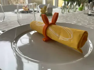 Easter bunny napkin holder