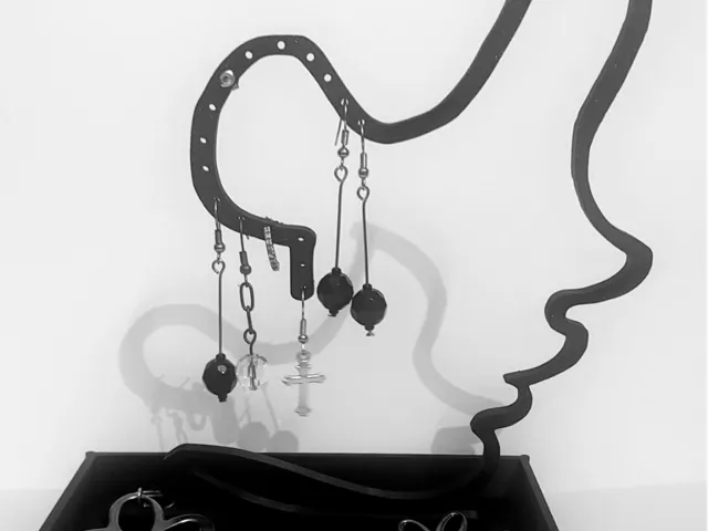earrings, rings, jewelry display or holder