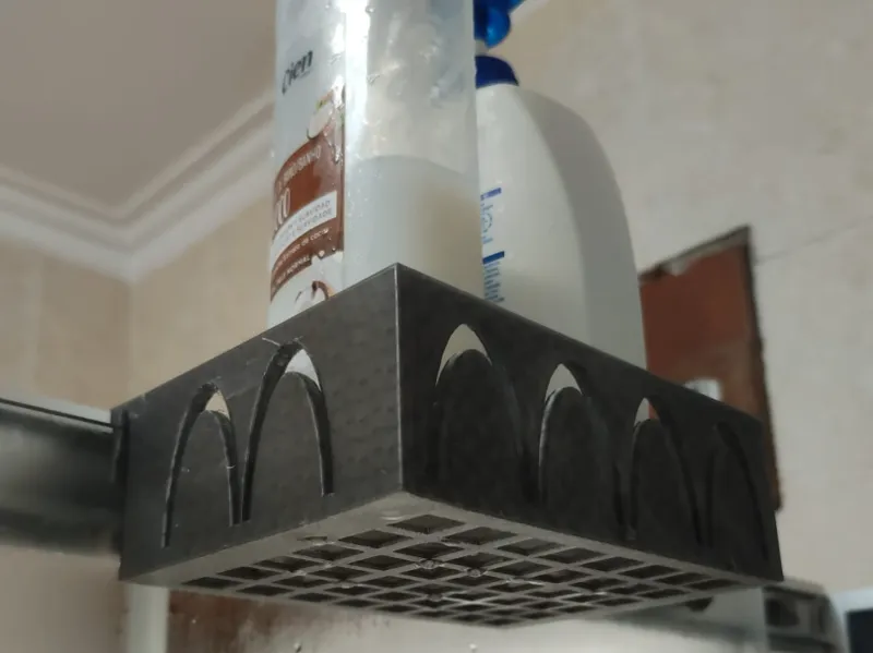 Shower Holder