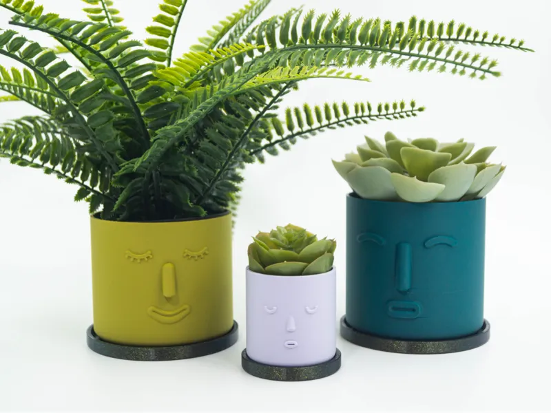 The Nosey Family Planter with Drip Tray (No AMS)
