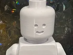 Customizable Minifigure