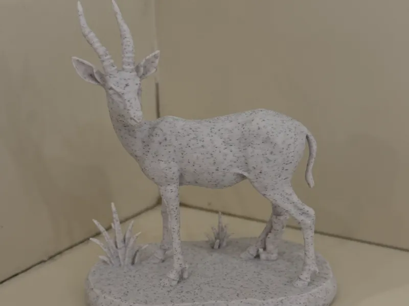 Antelope