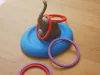 strong trunk, 2 rings/plate, waterproof 3 walls, 5% infill