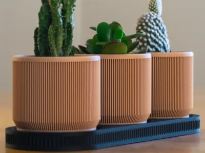 Mid Century Modern Mini Plant Pots with Tray