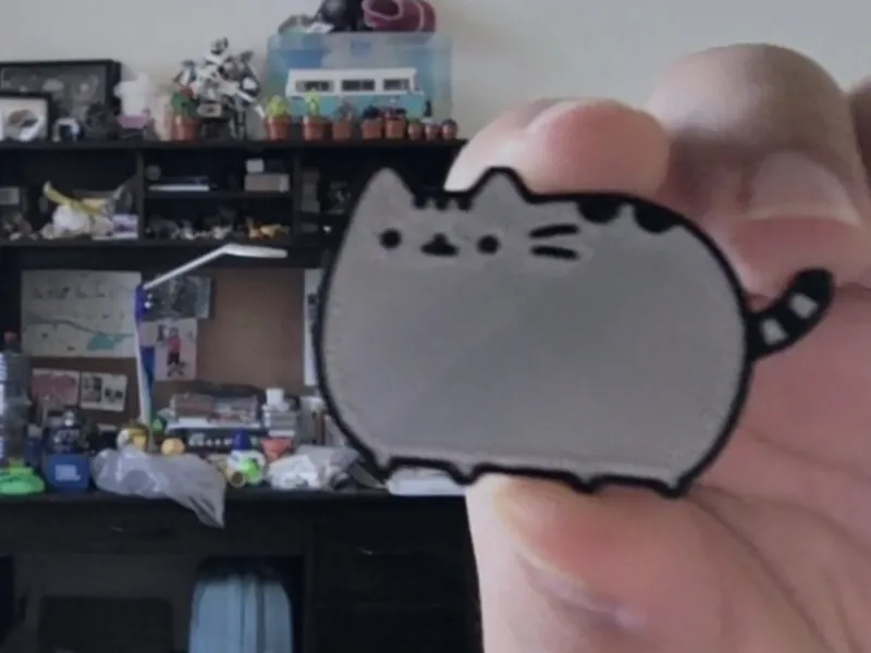 pusheen cat