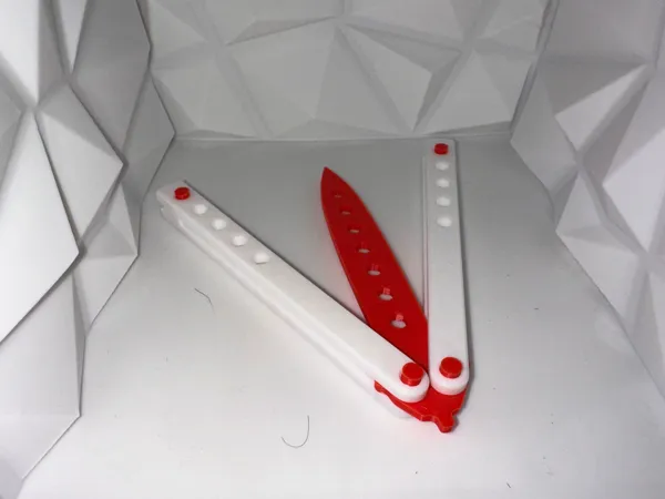 https://makerworld.bblmw.com/makerworld/model/US4315d4f7565a5f/design/2024-01-22_33c71f3ccf409.jpeg