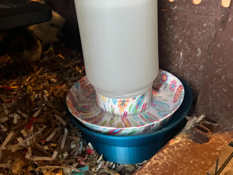 ImPECKables chicken waterer dish riser