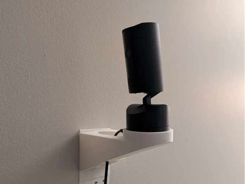 Ring Pan and Tilt Wall Mount