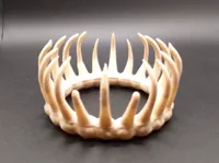 Couronne du roi des ossements — photo 1