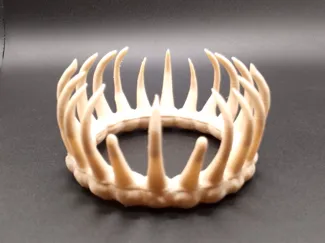 The bone king crown