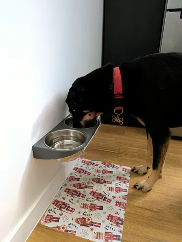 Soporte: Wall-mounted dog bowl holder — vista de referencia 3