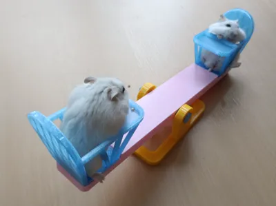 Hamster Seesaw