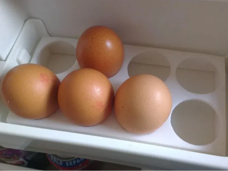 8 PCS Egg Holder!