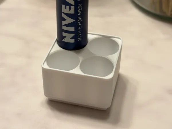 https://makerworld.bblmw.com/makerworld/model/US432303a8e93909/design/fdbeb9c6b3530e76.jpg