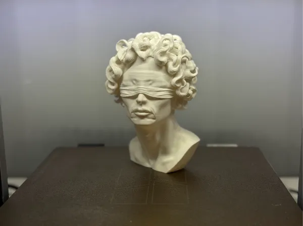 https://makerworld.bblmw.com/makerworld/model/US432936283c887b/design/2025-11-20_4b5f01fa552168.jpg