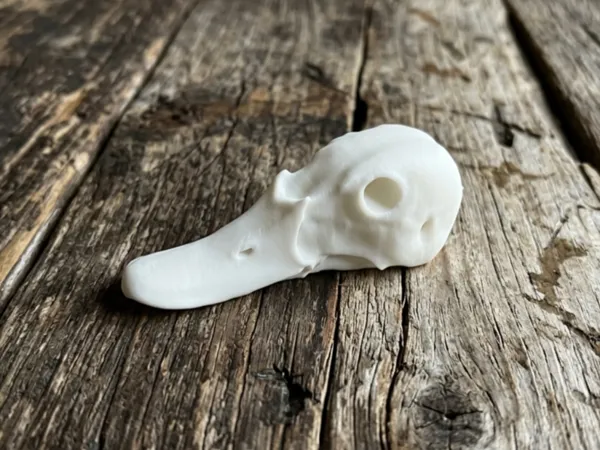 https://makerworld.bblmw.com/makerworld/model/US432ab4b088833a/design/ad556c95d5777fd4.png