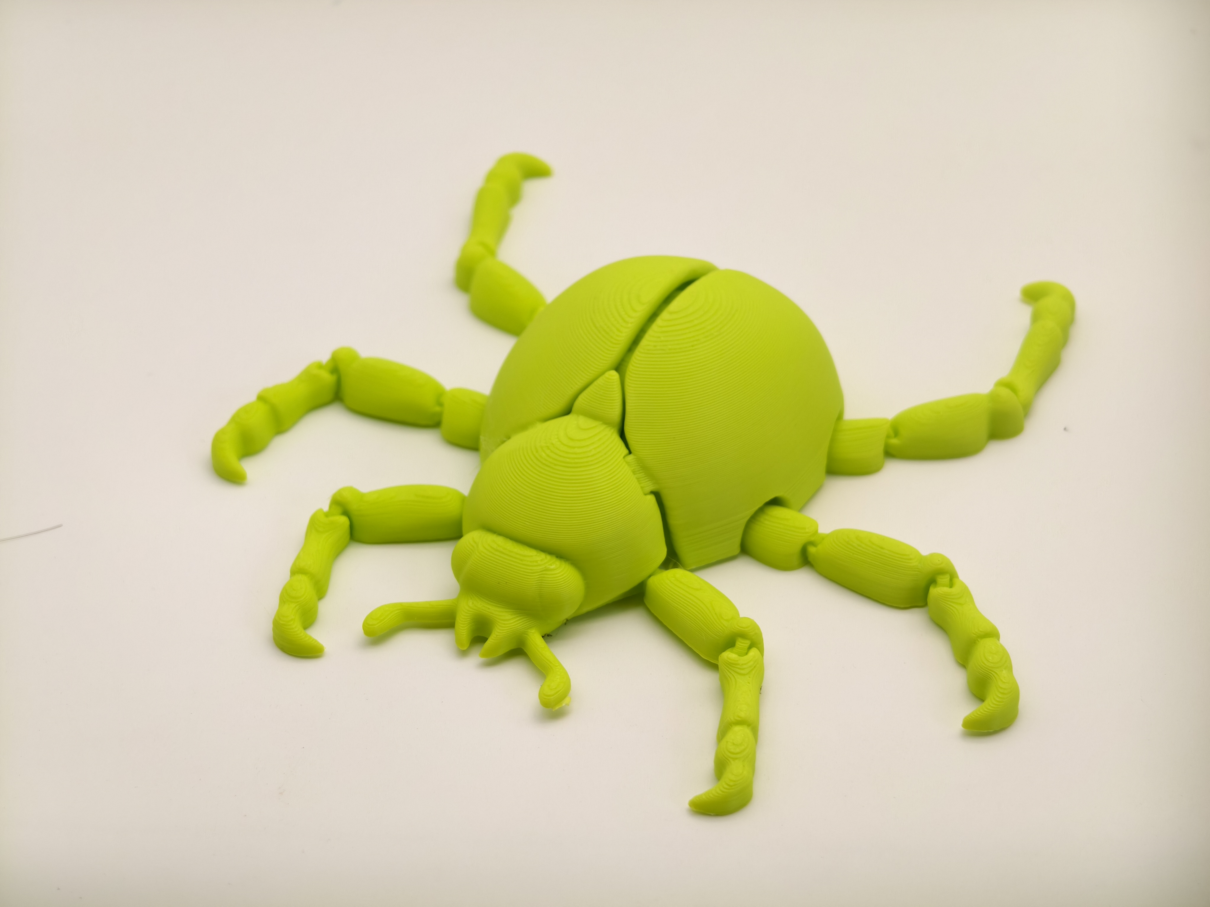Miniatura 2 do modelo 3D 七星瓢虫，身体六肢，翅膀都可动，无需支撑，MINI可打