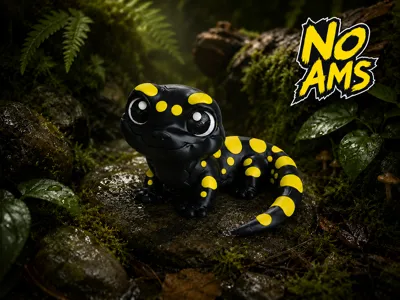 Black and yellow salamander - With or without AMS