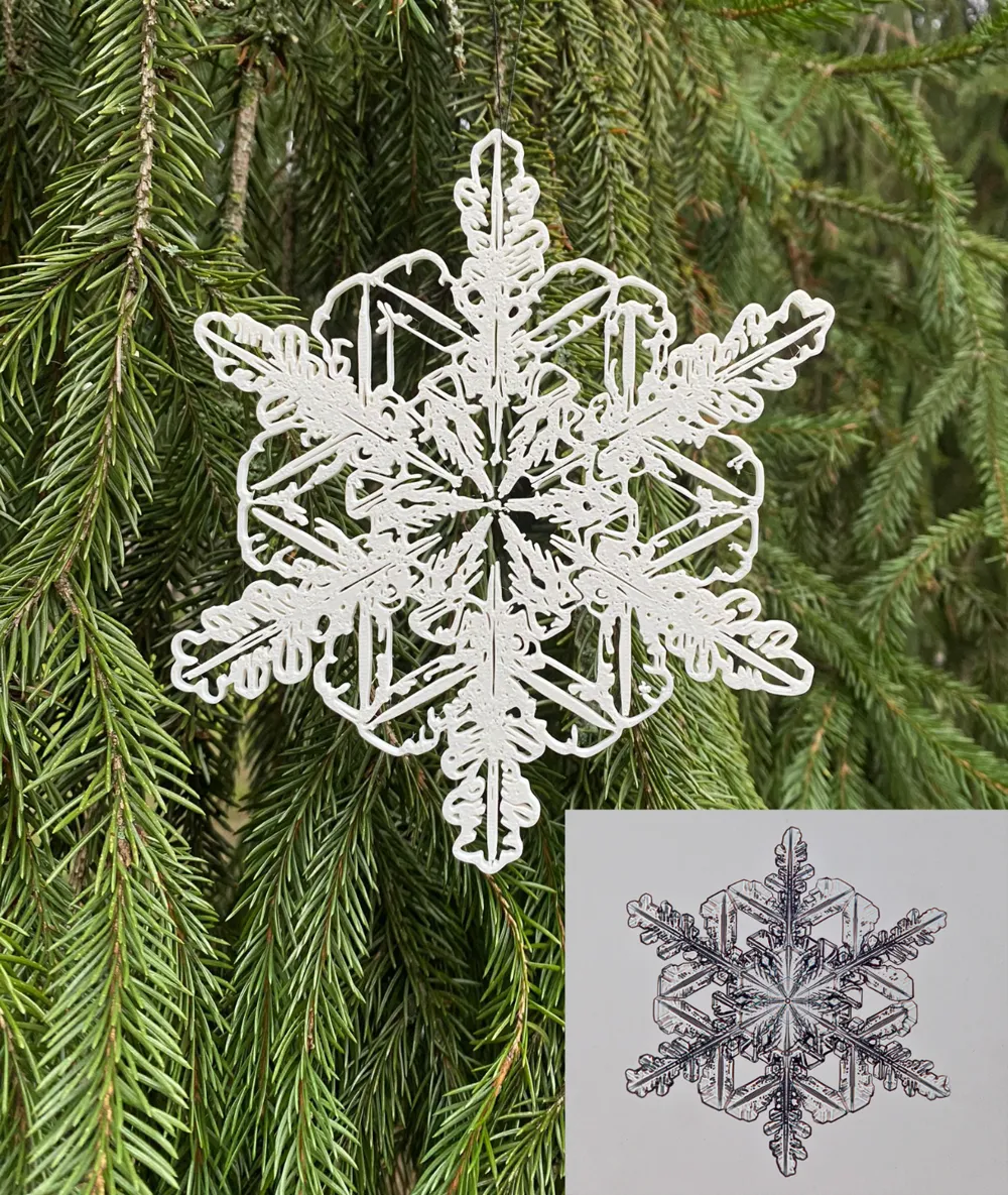 Natural snowflakes by user_4241044786 MakerWorld: Download Free 3D Models