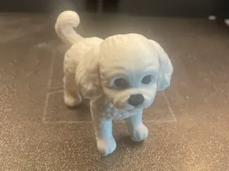 maltipoo hunden luna