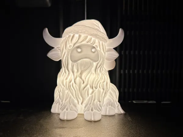 https://makerworld.bblmw.com/makerworld/model/US4333326e8a8cb7/design/2025-11-21_84a88465c816a8.jpeg