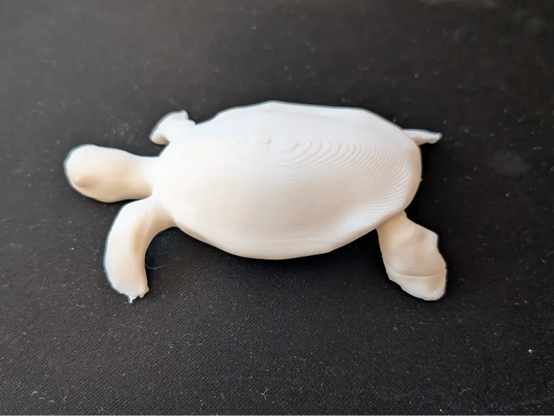 Cute and realistic turtle 