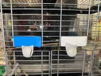0.28mm layer, 4 walls, 20% infill (Giroid)