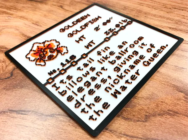https://makerworld.bblmw.com/makerworld/model/US434263eefdbfe4/design/2025-07-08_a688d41245add8.jpg