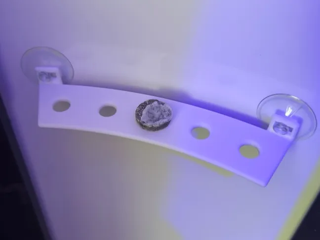 Round Frag Rack Holder for bow front+cylinder tank