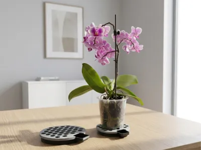 Minimalist Self-Watering Plant Base