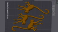 3 Monkeys