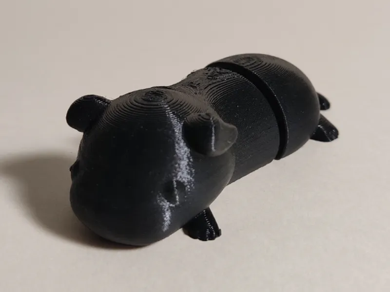 cute flexi guinea pig