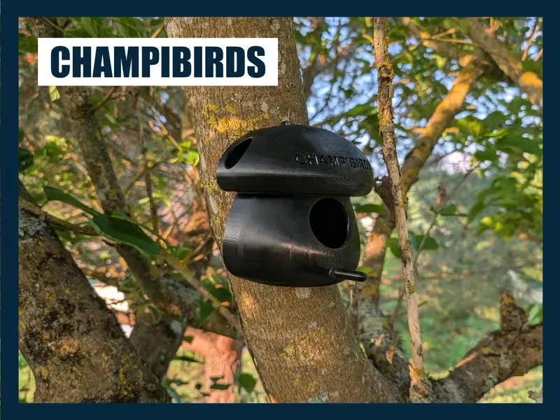 Nichoir à Oiseaux - ChampiBirds