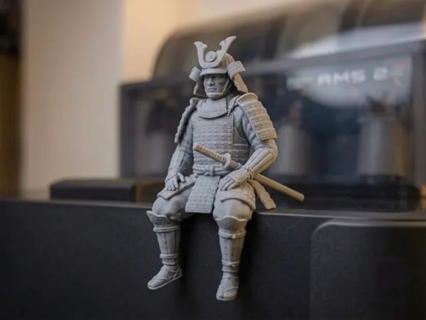 https://makerworld.bblmw.com/makerworld/model/US4353a9a1952ee4/design/e9f672345dfd56be.jpeg
