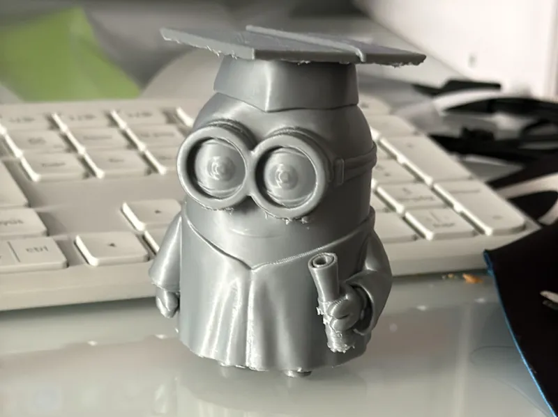 Minion Graduado