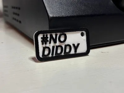 #NO DIDDY KEYCHAIN (no ams)