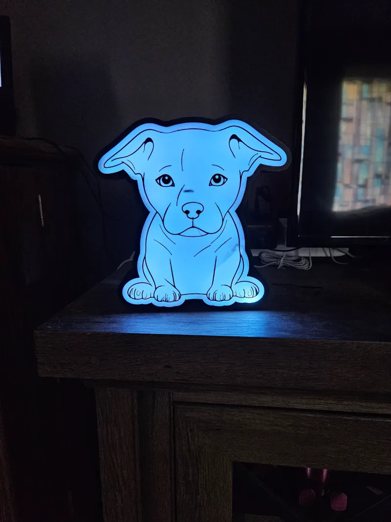 Pitbull Puppy Lightbox