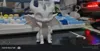0.2mm layer, 2 walls, 5% infill