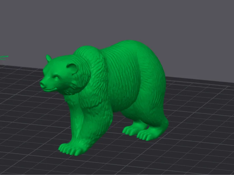 Bear
