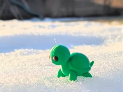 Cute Turtle