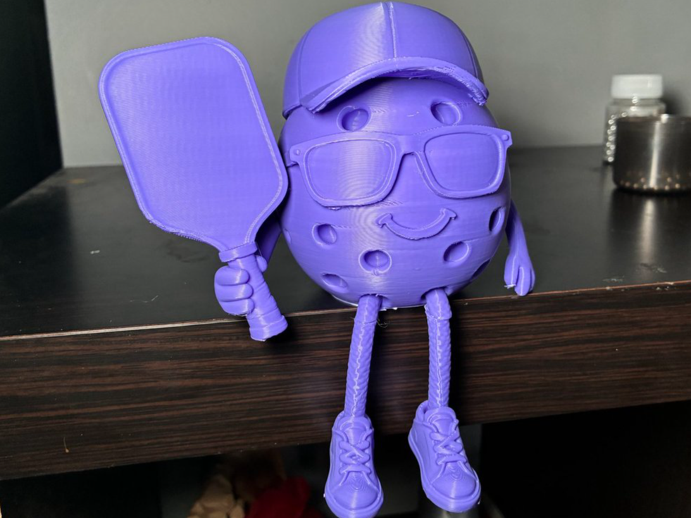 Pickleball Pal: The Ultimate Court Sidekick!