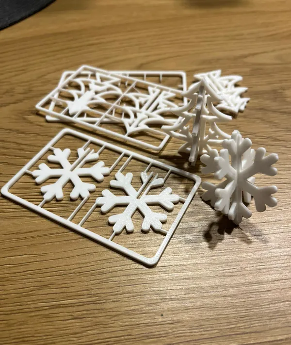 https://makerworld.bblmw.com/makerworld/model/US4369be378b476a/design/2024-11-19_df7241a7711e9.jpg